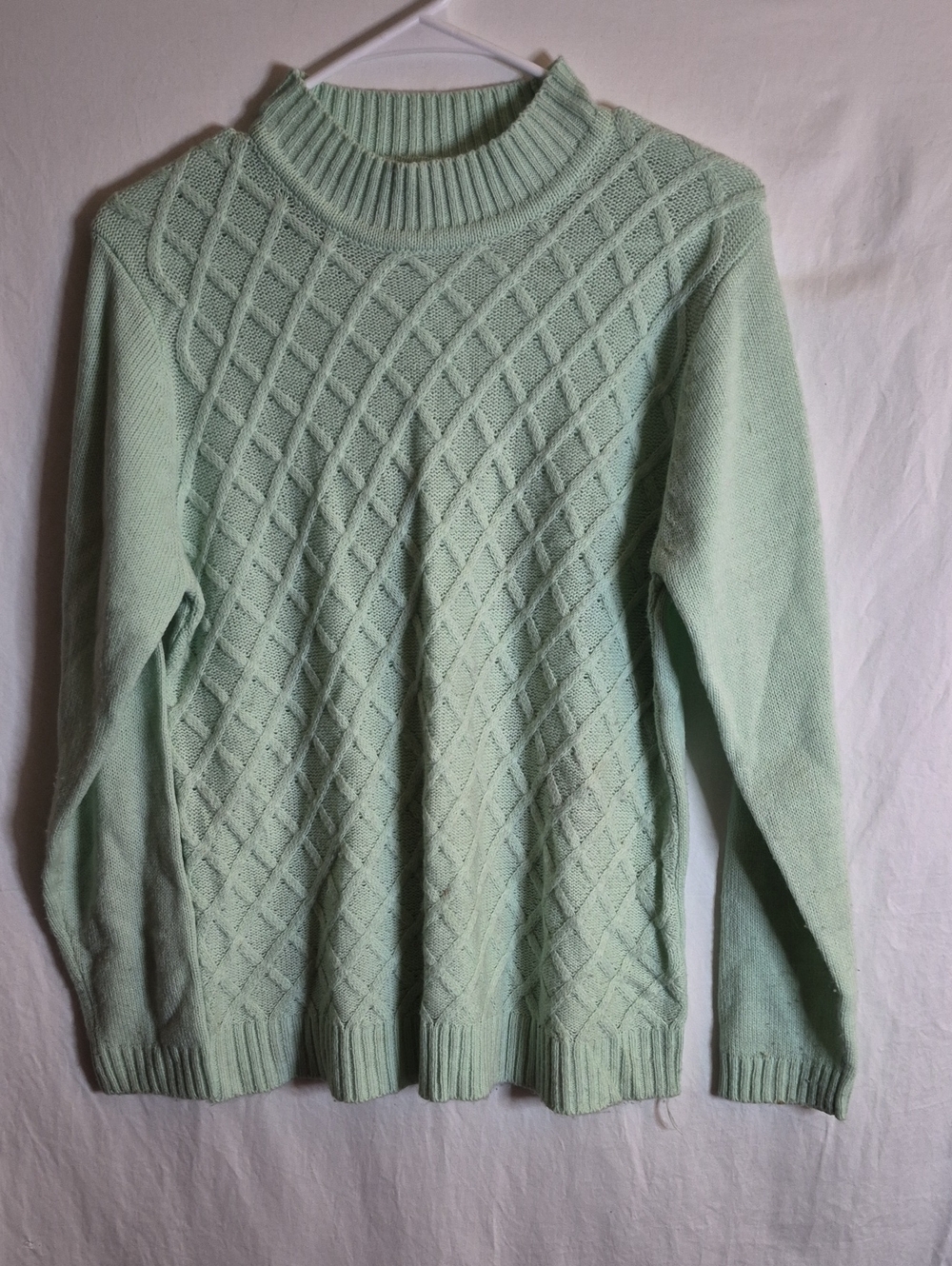 Salon Studio Women's Crewneck Sweater in Mint Green